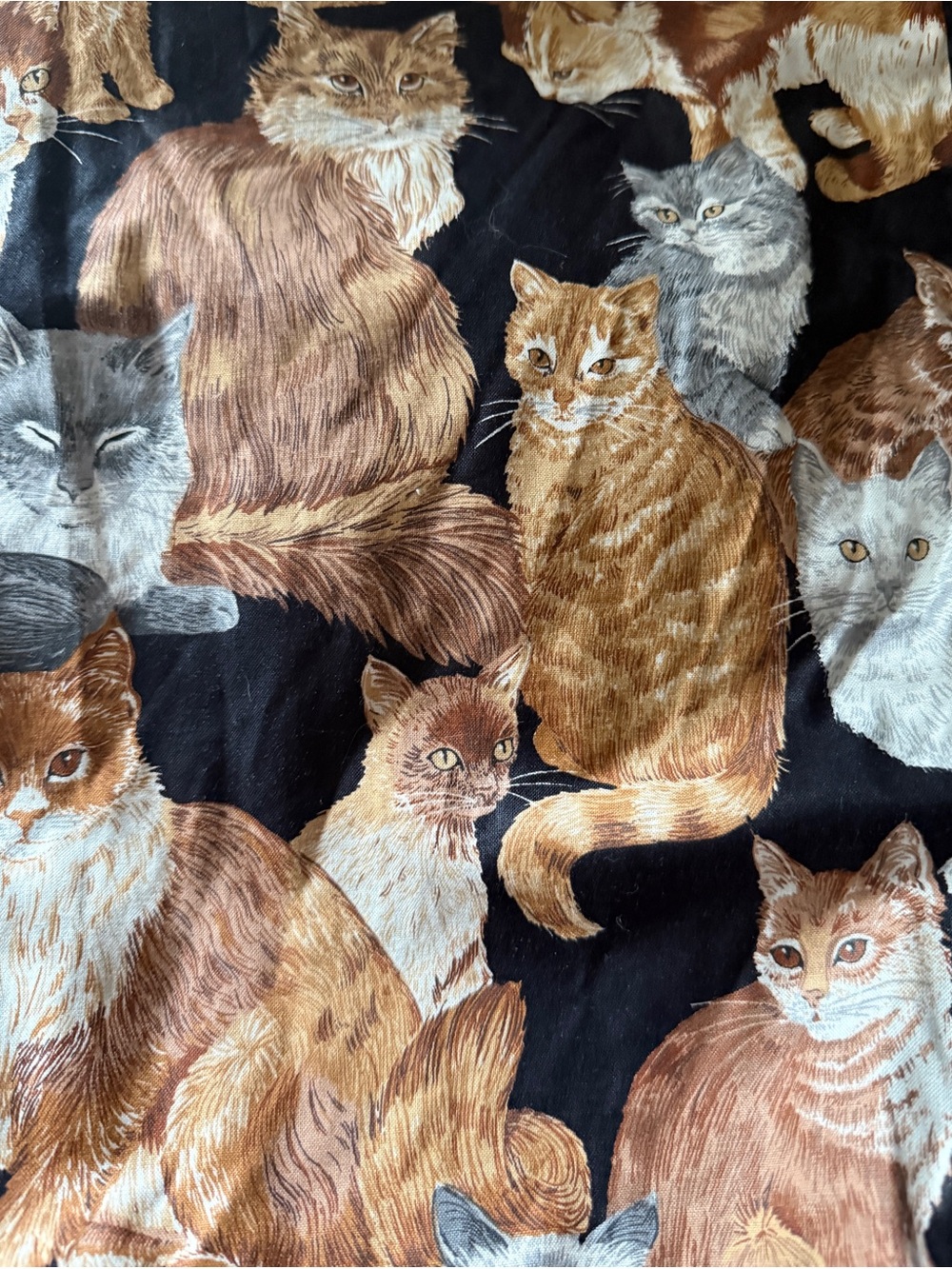 RESERVED- DO NOT BUY Vintage Viator Cat Print Garment Hanging Bag- Double Sided - Picture 12 of 13